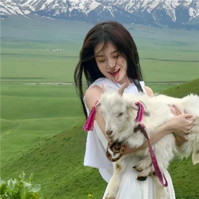 暴躁家族 海报