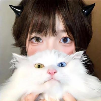 犬夜叉:红莲之蓬莱岛 海报